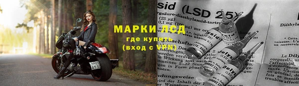 твердый Кулебаки