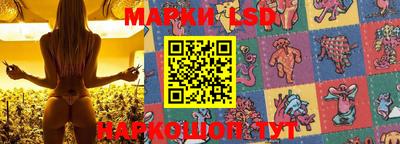 крисы Донской