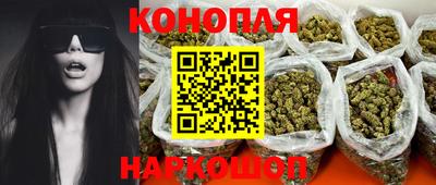 крисы Донской