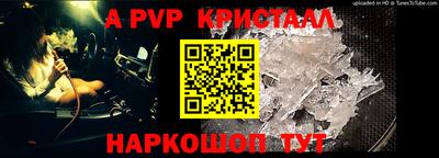 крисы Донской