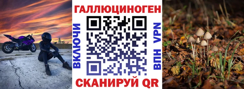 Галлюциногенные грибы Cubensis  omg ССЫЛКА  Малгобек 