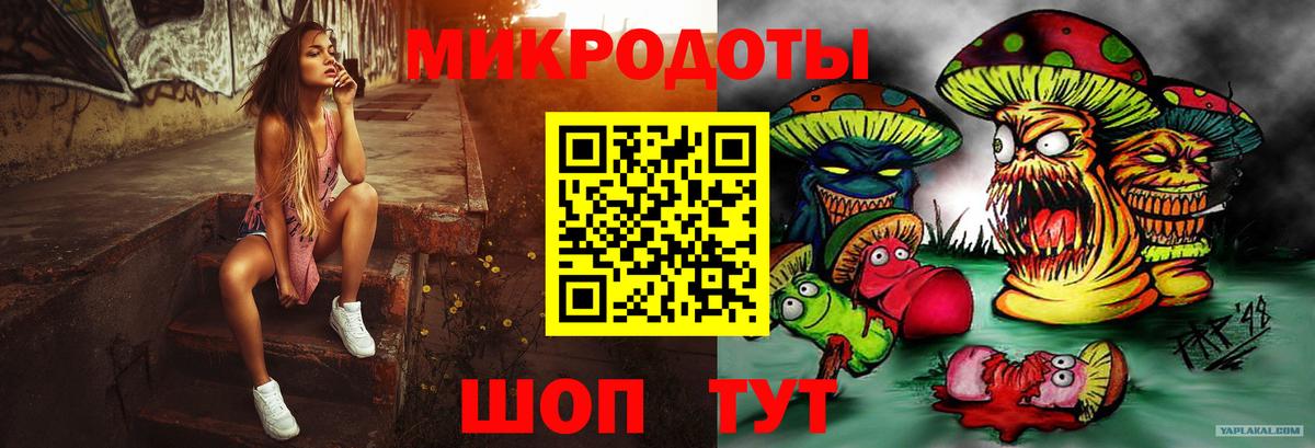 Псилоцибиновые грибы мицелий Малгобек