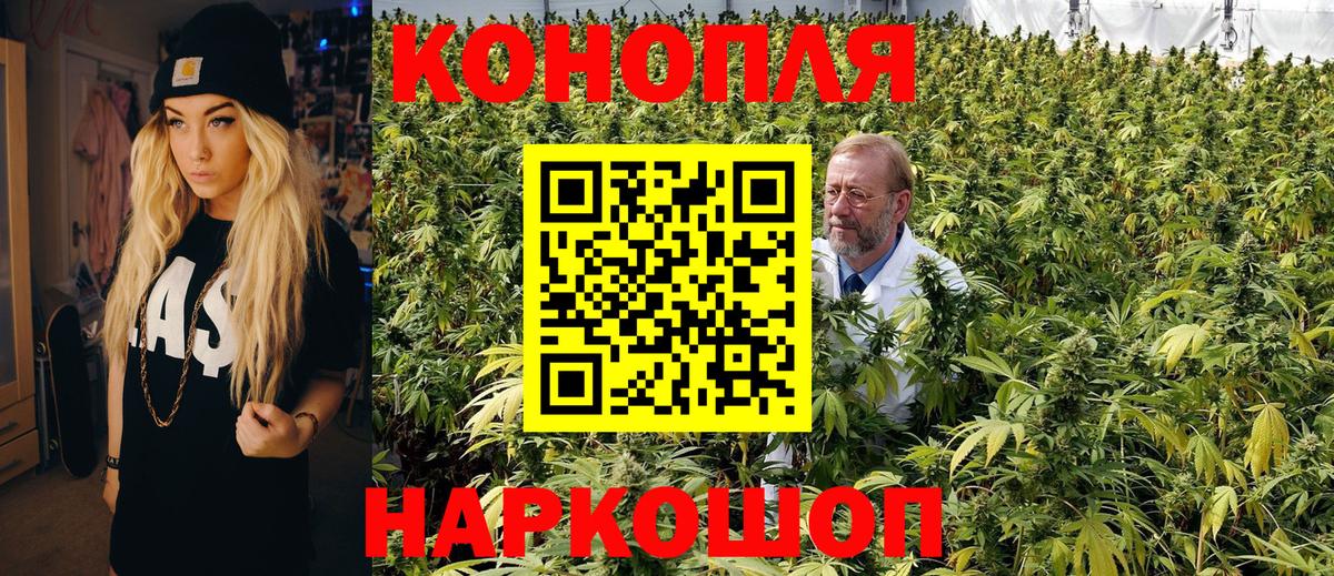 Кодеин Малгобек